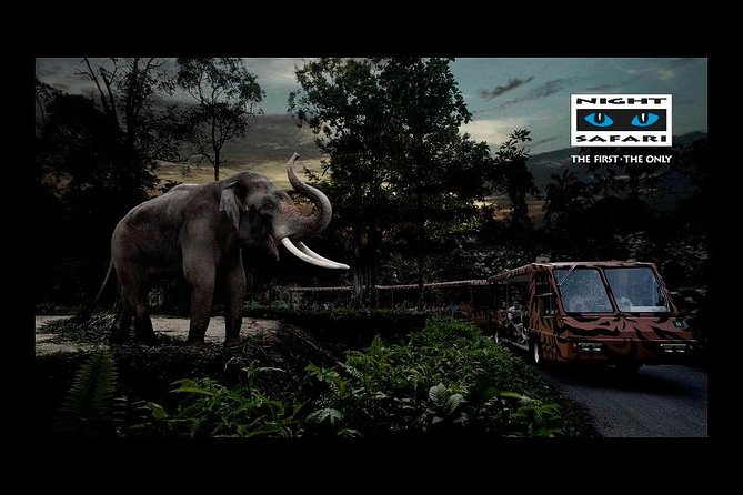 Night Safari Tour with Transfer - Priority boarding and the open-air tram