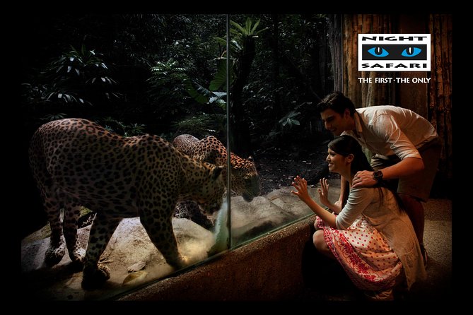 Night Safari Tour with Transfer - Choosing between the two evening shows