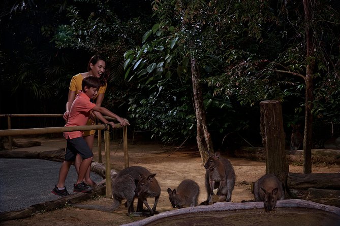 Night Safari Tour with Transfer - Dinner at Ulu Ulu Safari Restaurant