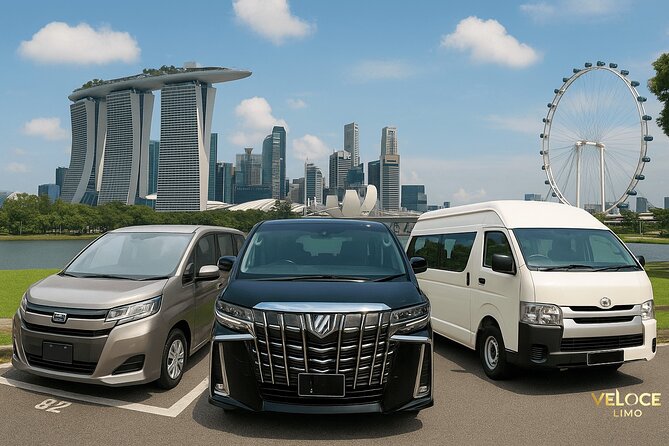Private Airport Transfers in Singapore - Who should book this transfer