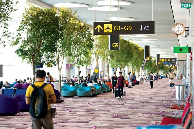 Private Arrival Transfer From Singapore Airport or Port to Hotel - The communication issue you should take seriously