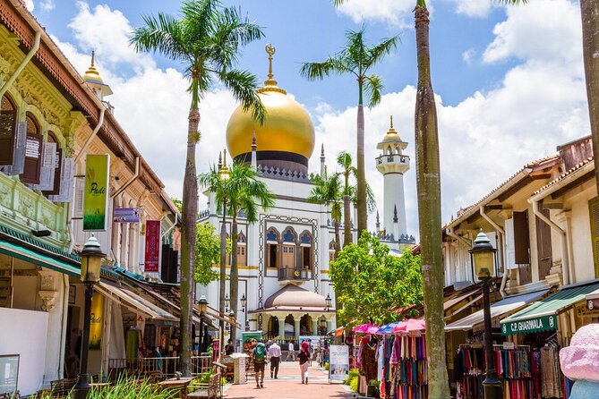 Private Car Tour for Singapore Highlights and Hidden Gems - What the guides add to the drive