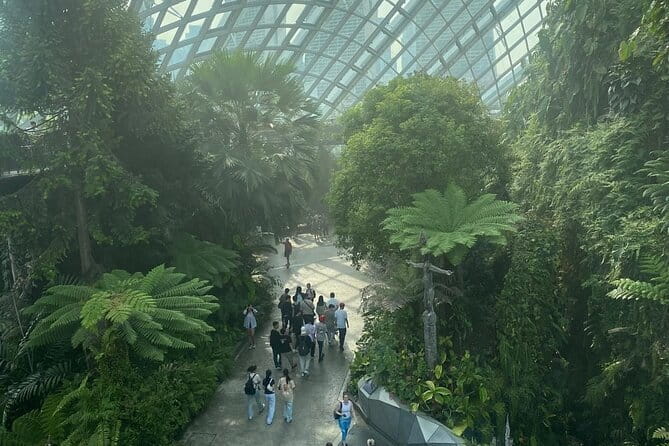 Private City Car Tour Singapore (4 Hours or 8 Hours) - Marina Bay and the water question