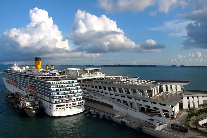 Private Departure Transfer From Singapore Hotel to Airport or Port - Clean Cars and Room for Groups