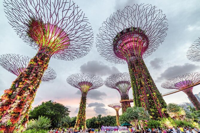 Private Full Day Singapore Highlights Tour - Kampong Gelam and the gold dome of Sultan Mosque