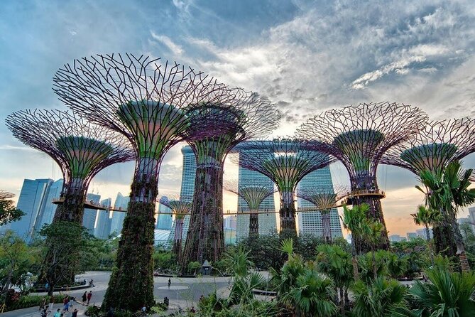 Private Full Day Singapore Highlights Tour - Little India Arcade and the lunch break