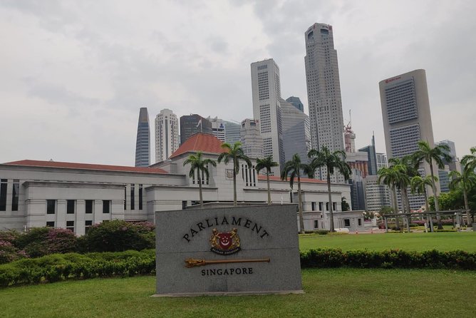 Private Half Day Singapore City Tour with Botanical Orchid Garden - Why this tour works as a first look at Singapore
