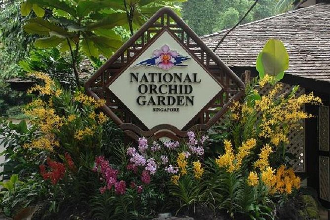 Private Half Day Singapore City Tour with Botanical Orchid Garden - One hour among orchids at the Botanic Gardens