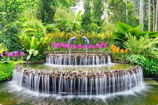 Private Half Day Singapore City Tour with Botanical Orchid Garden - Little India in a quick 30-minute visit