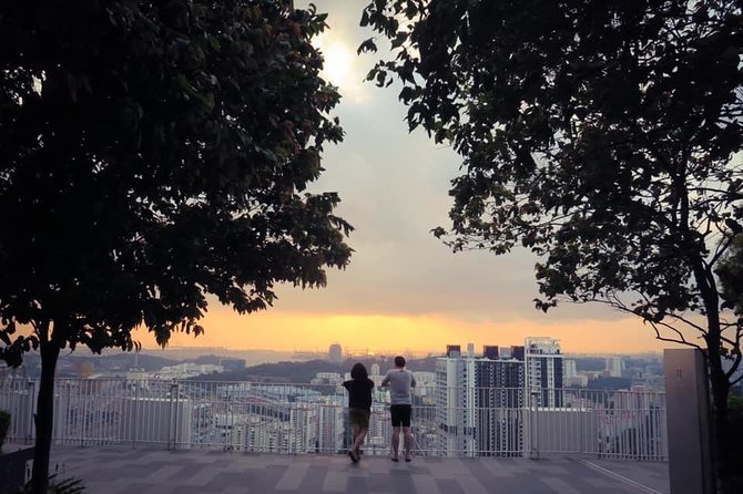 Private History & Culture tour (Walking tour) - The Pinnacle at Duxton and Singapore’s public housing story