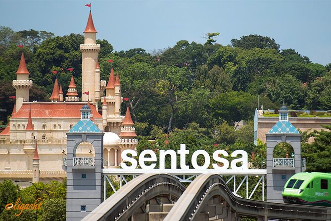 Private Mini-Bus Transfer to Attractions in Singapore - Why a private 13-seater helps in Singapore