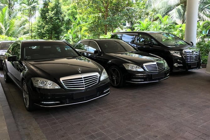 Private Singapore Arrival Transfer: Airport or Cruise Terminal to City - Key points at a glance