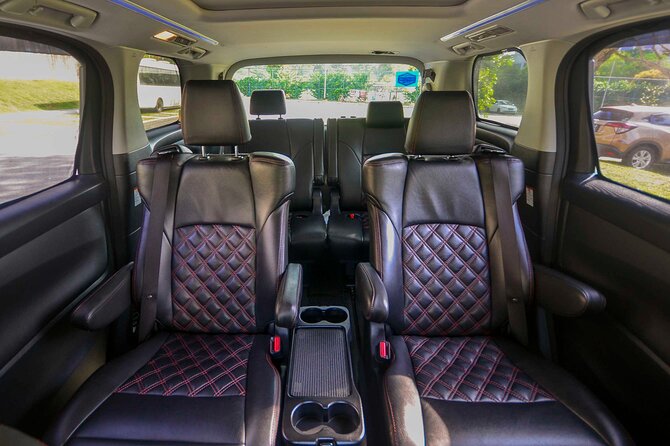Private Singapore Departure in Mini Van from Hotel to Changi Airport - Luggage limits and child seats