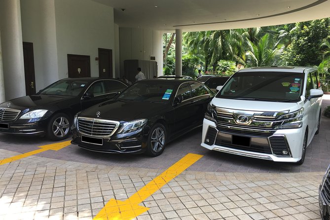 Private Singapore Departure Transfer: City to Airport or Cruise Terminal - What happens at the hotel lobby