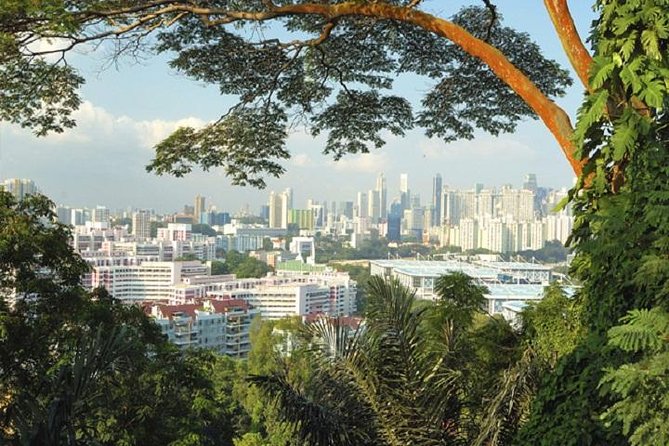 Private Singapore Full Day Round Island Tour with River Cruise - One hour among Singapore’s orchids