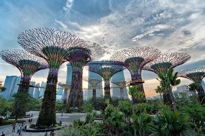 Private Singapore Night Tour with Gardens by the Bay&River Cruise - Why Singapore works so well after sunset