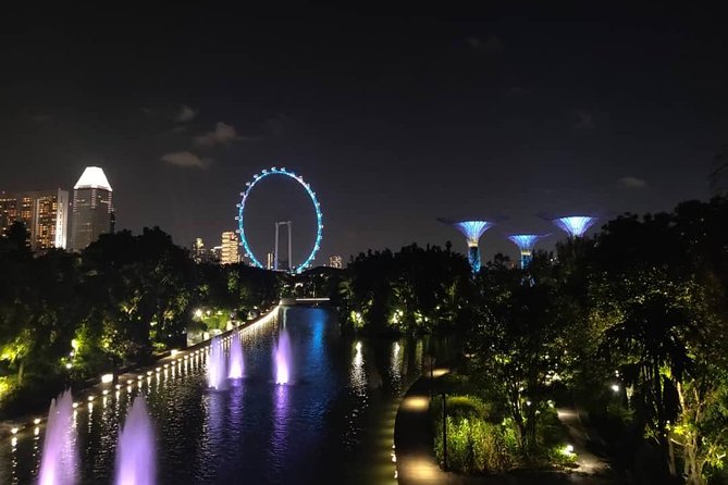 Private Tour: Nighttime Sightseeing with River Cruise - Gardens by the Bay and the 7:45pm Supertree show