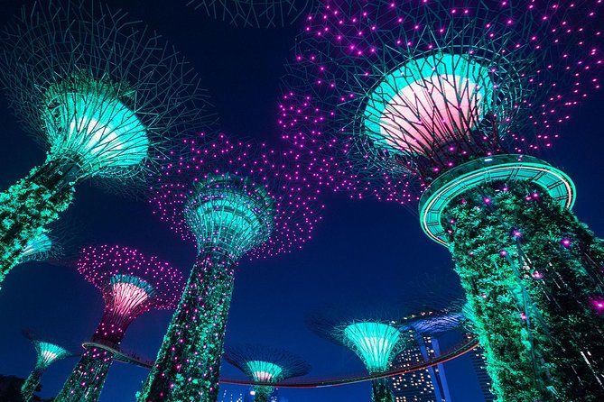 Private Tour: Nighttime Sightseeing with River Cruise - Marina Bay Sands SkyPark after dark