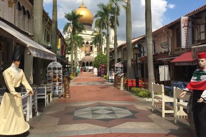 Private Tour:Singapore City Tour with Half Day Sentosa Island - A broad Singapore introduction in one private day