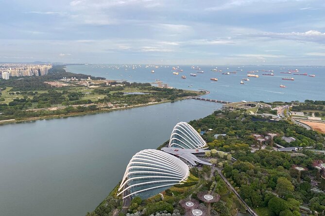Private Tour Singapore Nighttime sightseeing + River Cruise(Max6) - Marina Bay Sands SkyPark at 6 p.m.