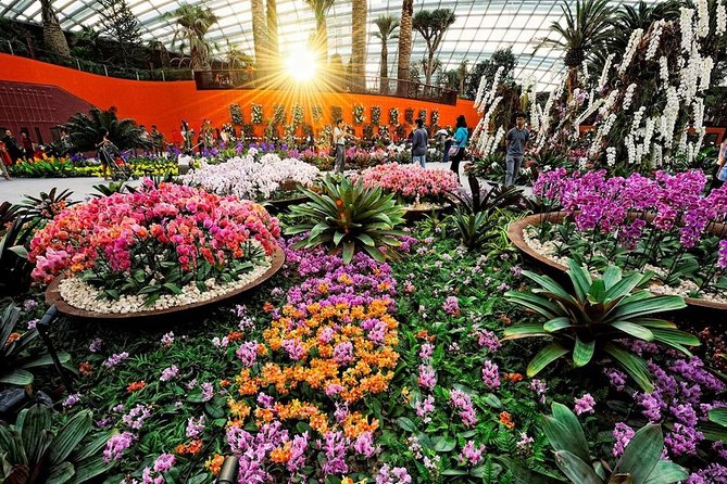SandsSkyPark+GardensbytheBay(FlowerDome&Jurassic World)Transfers - Ticket checks can prevent a bad afternoon