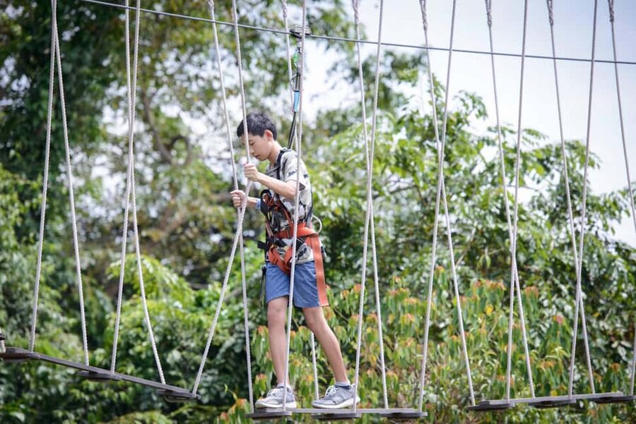 Sentosa Island: Ticket to Mega Adventure Park - Picking the right activity for your group