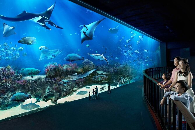 Sentosa Luxe: A Premium Half-Day Island Discovery Private Tour - What this four-hour Sentosa tour is really offering