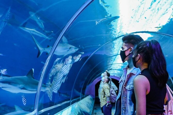 Sentosa Luxe: A Premium Half-Day Island Discovery Private Tour - SkyHelix from ground level