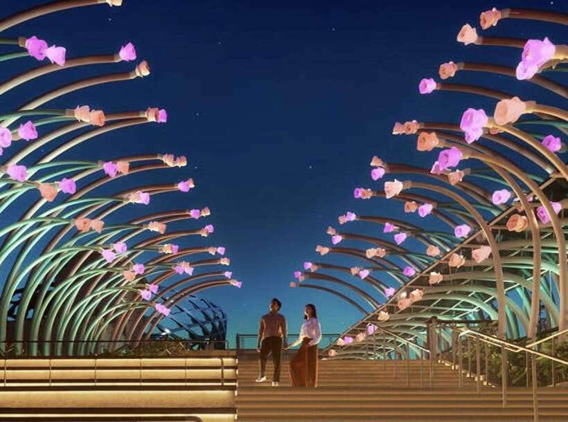 Singapore After Dark:Small Group Sentosa Tour with Cable Car - Who should book this Sentosa evening