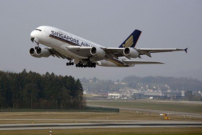 Singapore Airport Private Transfer - Arrival pickup: the most useful option