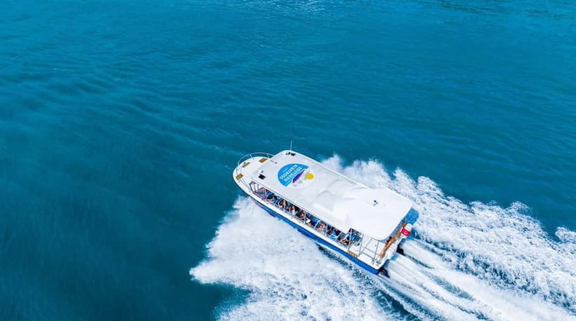 Singapore: Albatross Speedboat Adventures Ticket - Key points to know before boarding