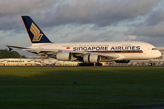 Singapore Arrival Transfer (Airport to Hotel) - Key points to know before booking