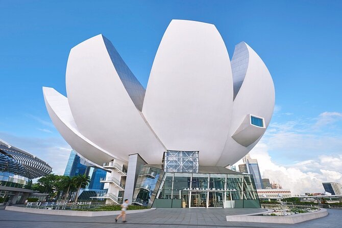 Singapore ArtScience Museum Admission Ticket - Digital Light Canvas and the joy of participation