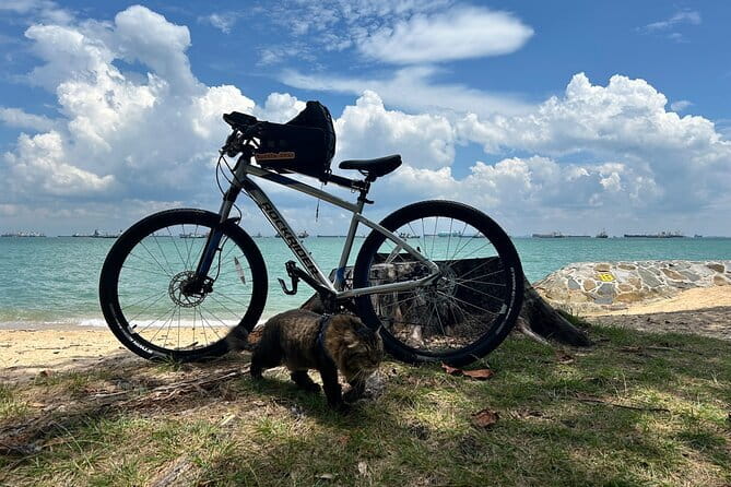 Singapore Beach City Cycling Tour - What the $92.71 price includes