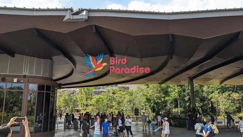 Singapore: Bird Paradise - A full day among Singapore’s birds