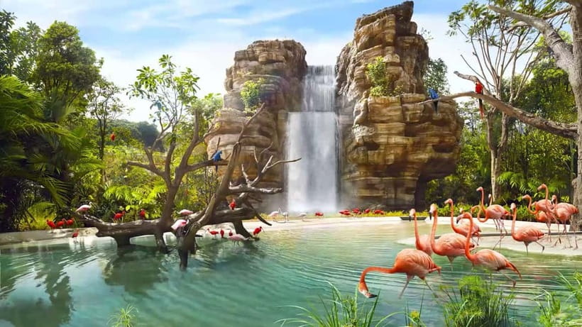 Singapore: Bird Paradise - Brilliant colors among wetlands and crimson blooms