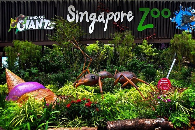 Singapore Bird Paradise & Zoo Full Day (Ticket & Transfer ) - Seeing the bird park’s eight aviaries
