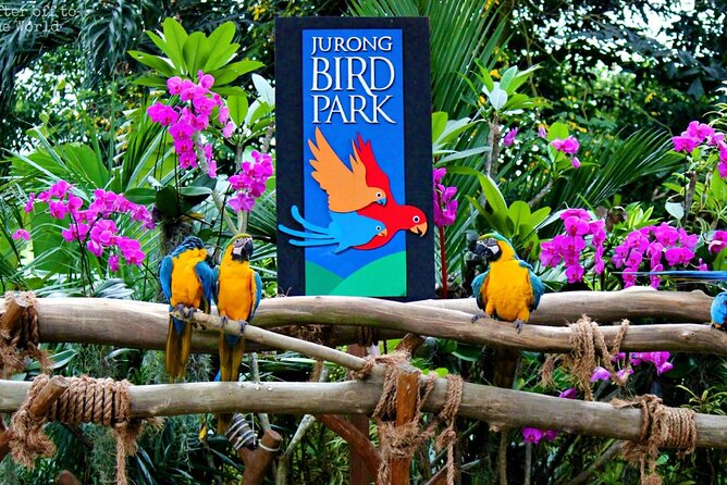 Singapore Bird Paradise & Zoo Full Day (Ticket & Transfer ) - How the eight-hour schedule works