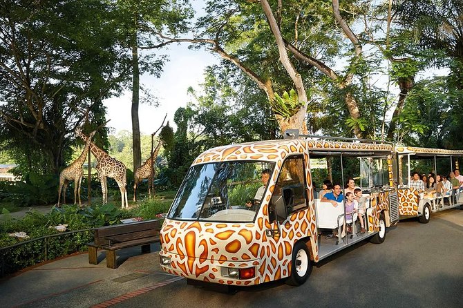Singapore Bird Paradise & Zoo Full Day (Ticket & Transfer ) - What the price includes, and what it leaves out
