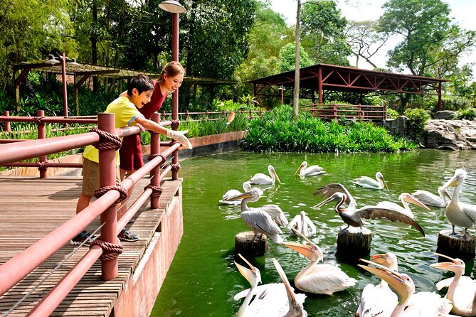 Singapore Bird Paradise & Zoo Full Day (Ticket & Transfer ) - Who will get the most from this experience