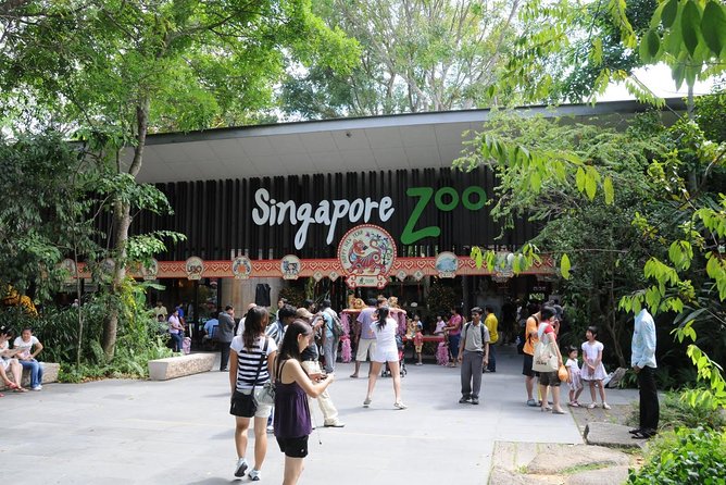 Singapore Bird Paradise & Zoo Full Day (Ticket & Transfer ) - Why the included tram ride matters