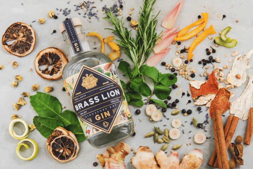 Singapore: Brass Lion Guided Gin Tasting Experience Ticket - Six gins, one small glass at a time