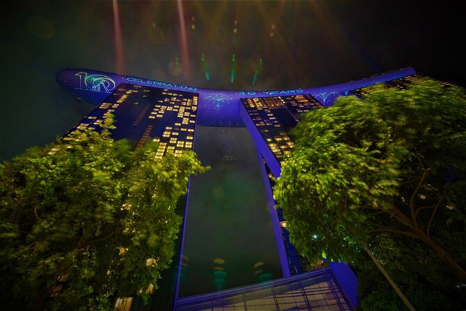 Singapore by Night Top Senic Sightseeing Private Tour - The 7:45 pm Supertree Grove show