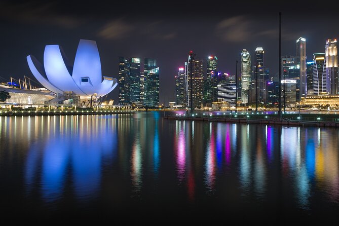 Singapore by Night Top Senic Sightseeing Private Tour - What the private format really gives you