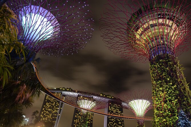 Singapore by Night Top Senic Sightseeing Private Tour - Is $185.09 per person good value?