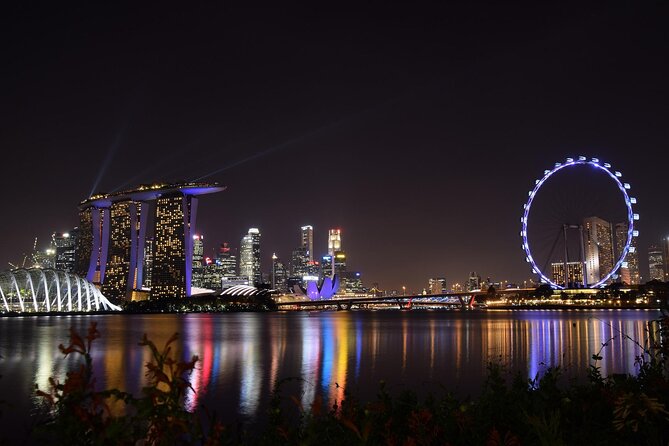 Singapore by Night Top Senic Sightseeing Private Tour - Who should book this evening?