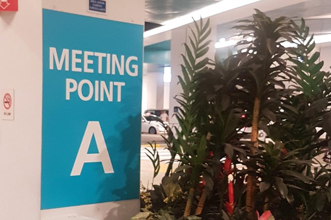 Singapore Cruise Centre Transfer to Hotel - A closer look at the pickup experience