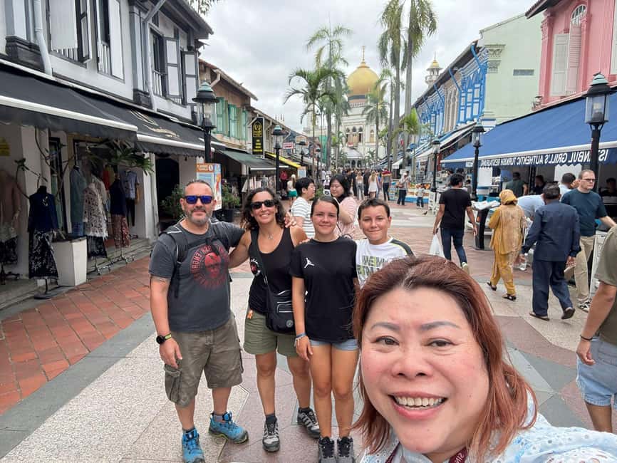 Singapore: Customized Private Tours (Car/Bus/Walking) - Seeing Singapore from a private car or the MRT