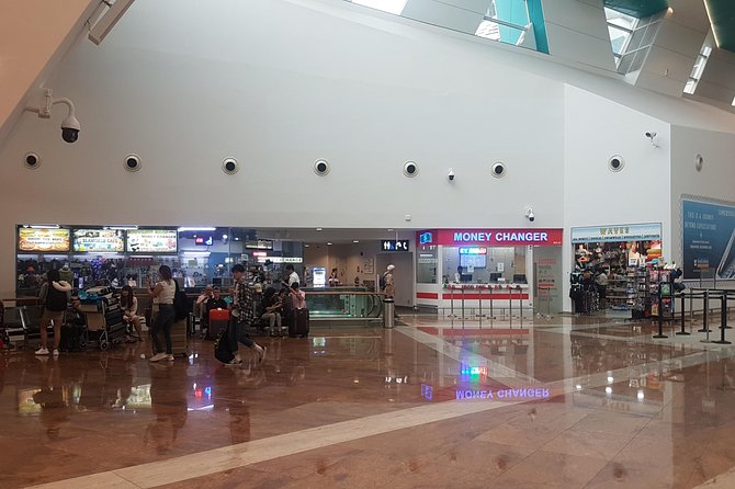 Singapore Departure: Hotel to Cruise Centre Transfer - Ally, the nine-seat limo-bus