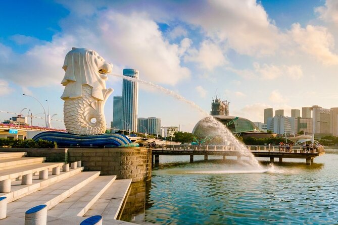Singapore Departure Transfer (Hotel to Airport) - Punctuality, communication, and the one real warning